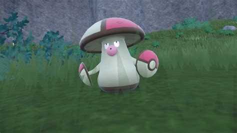 All Amoongus Weaknesses and Best Counters in Pokémon Scarl.